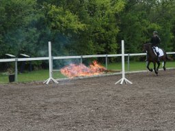 img_5781_web